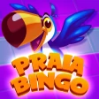 Praia Bingo: Tombola online icon