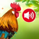 Som de animais:Papel de parede