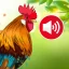 Sons et Sonneries D'animaux icon