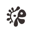 Cortis News icon