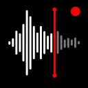 Grabadora de Voz y Notas icon