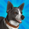 Pocket Paws: mes petits chiens icon