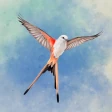 Wingspan (Flügelschlag) icon