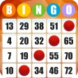 Bingo absoluto icon