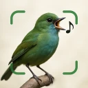 Vogelgeluiden Herkennen App