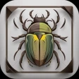 Käfer & Insekten Bestimmen icon