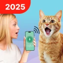 Traduire Humain En Chat