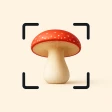 Identifiera Svampguiden App icon