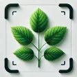 Planten Herkennen - Plantio icon