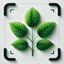 Planten Herkennen - Plantio icon