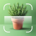 AI Plants - Plant Identifier