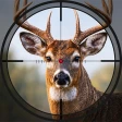 Apex Hunter: Animal Shooting icon