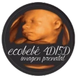 Ecobebé App icon