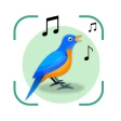 Identificador de Aves: Bird ID icon
