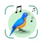 Vogelgeluiden Herkennen NL icon