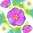Match Flowerbed icon