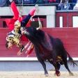 juegos de toros 2023 icon