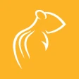 Chipmunk icon