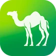 Camel Live icon