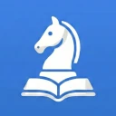 Schach lernen: Schach spielen