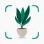 Plantify: Identificador Planta icon