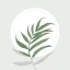 Blossom – Planten Herkennen icon
