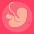 Idade Gestacional (do bebê) icon
