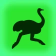 Деливери: еда и продукты icon