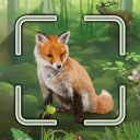 Forêt Mixte™ Smart Counter