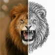Stencify: Tattoo-Ersteller icon