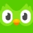 Duolingo: Aprende Idiomas icon