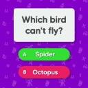 Trivia Master - Quiz Games icon
