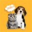 Tradutor de gatos & cachorros icon