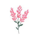 Fleur Budjetti Expense Tracker