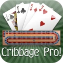 Cribbage Pro Online!