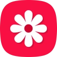 Galerie – Fotogalerie, Album icon