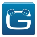 Geotab Drive