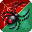Spider Solitaire icon