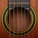 Echte Gitaar - Muziekspel icon