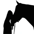 Chevaux - Quiz icon