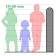 Height Measurement App icon