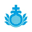 H.U. San Rafael Madrid icon