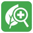 Plantenziekte icon