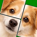 ジグマジック・ソリティア - パズル
