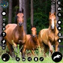 Cavalo adulto selvagem e égua