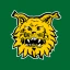 Tampereen Ilves icon