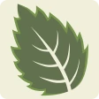 ArbolApp icon