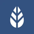 MoreApp Formulieren icon