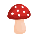 Shroomify - Mushroom ID