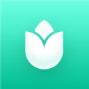 PlantIn plantes reconnaissance